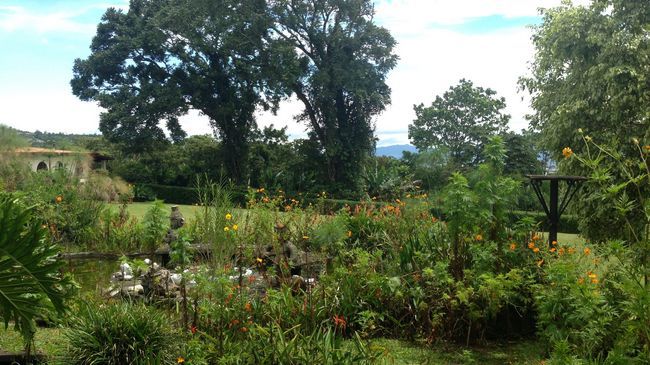 Hotel Desire Costa Rica Santa Barbara de Heredia 外观 照片