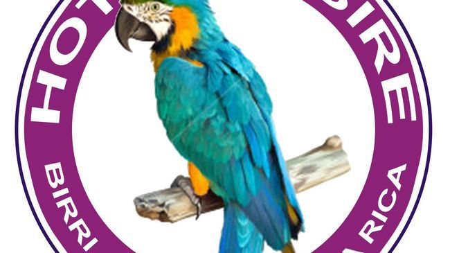 Hotel Desire Costa Rica Santa Barbara de Heredia 商标 照片